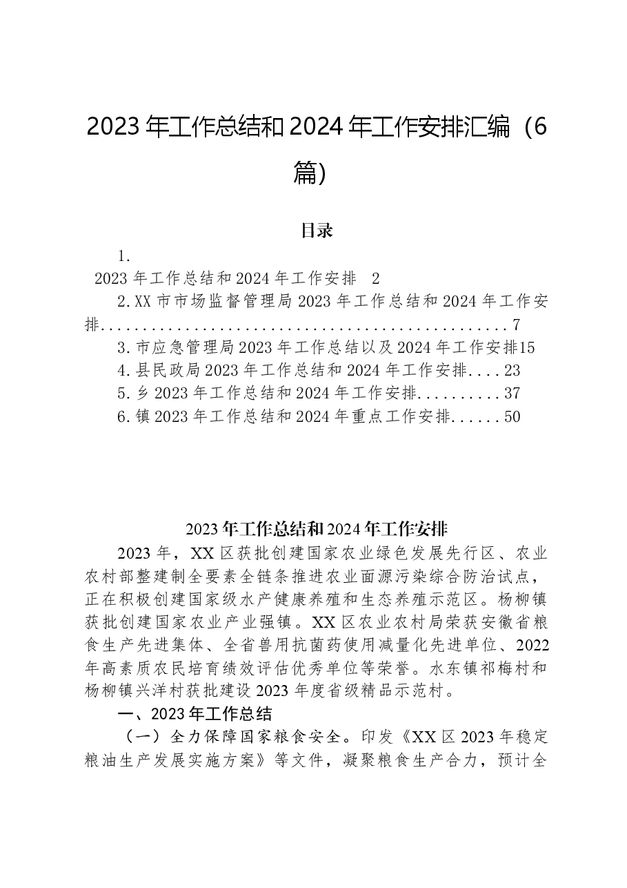 (6篇)2023年工作总结和2024年工作安排汇编.docx,第1页预览