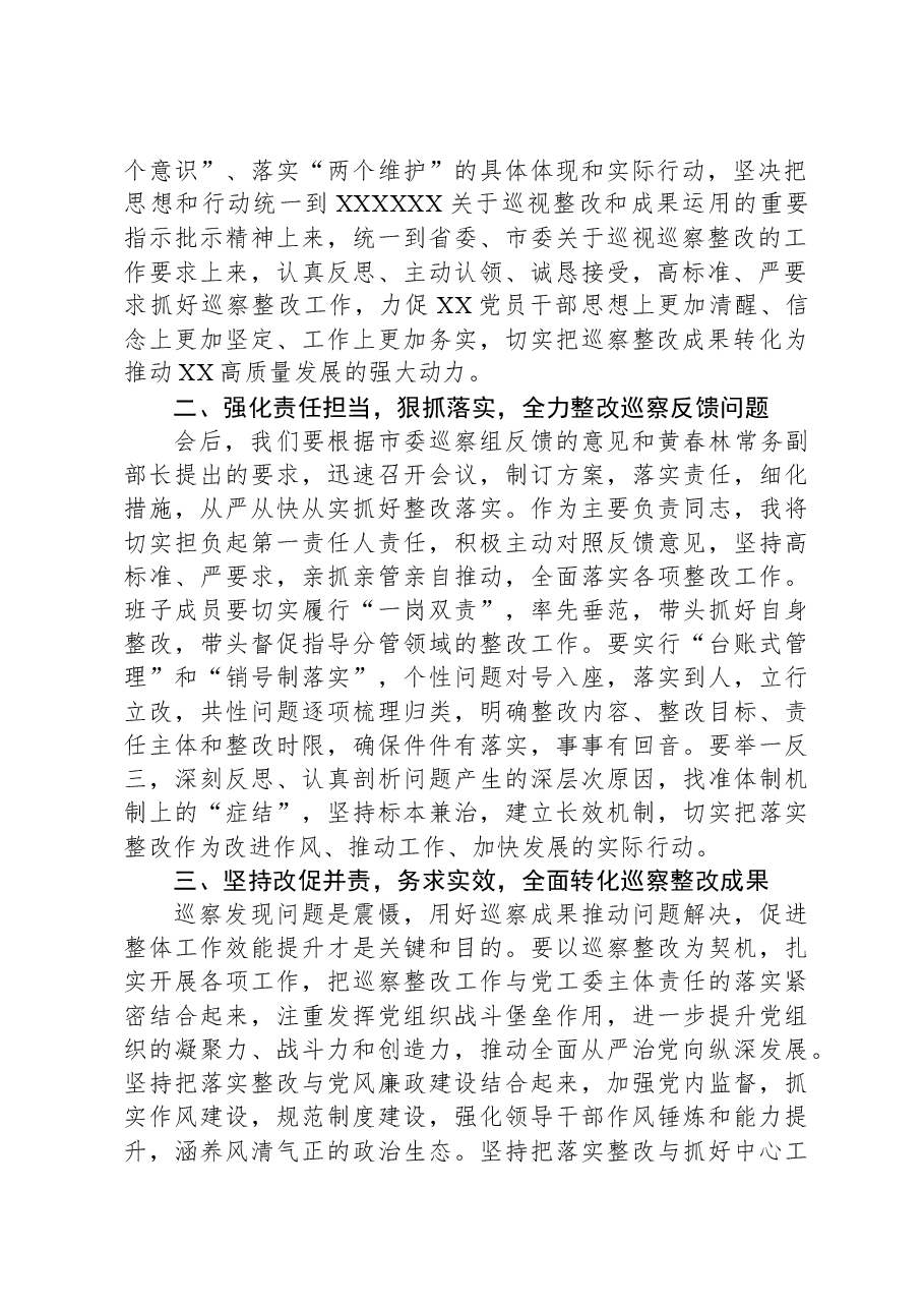 在市委巡察组机动巡察XX园区产业平台创建情况反馈会议上的讲话.docx,第2页预览