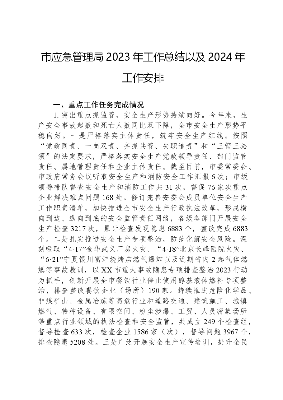 市应急管理局2023年工作总结以及2024年工作安排.docx,第1页预览