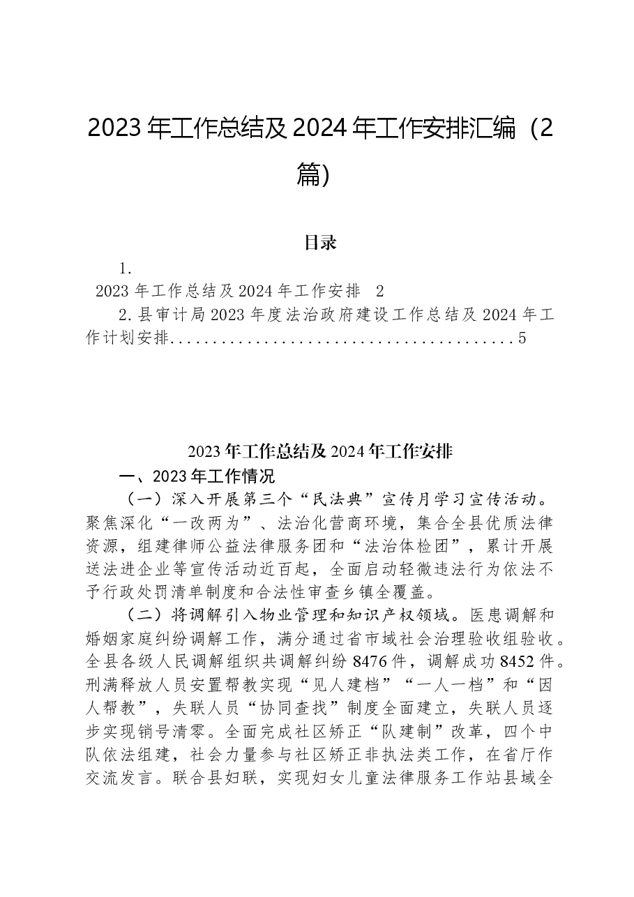 （2篇）2023年工作总结及2024年工作安排汇编.docx，第1页预览