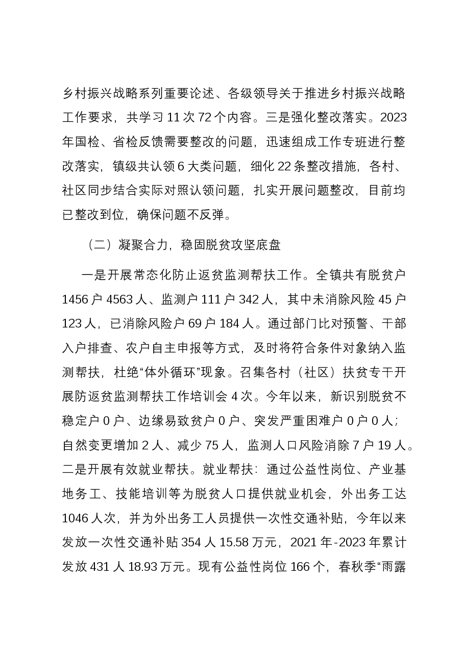 某镇2023年度实施乡村振兴战略专题报告.docx,第2页预览
