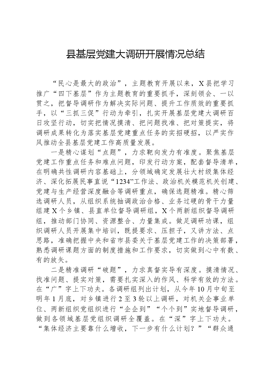 县基层党建大调研开展情况总结.docx,第1页预览
