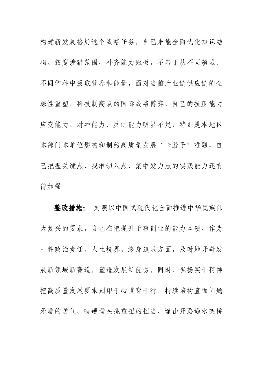 第二批主题教育“能力本领”“担当作为”方面问题清单及整改措施.docx,第2页预览