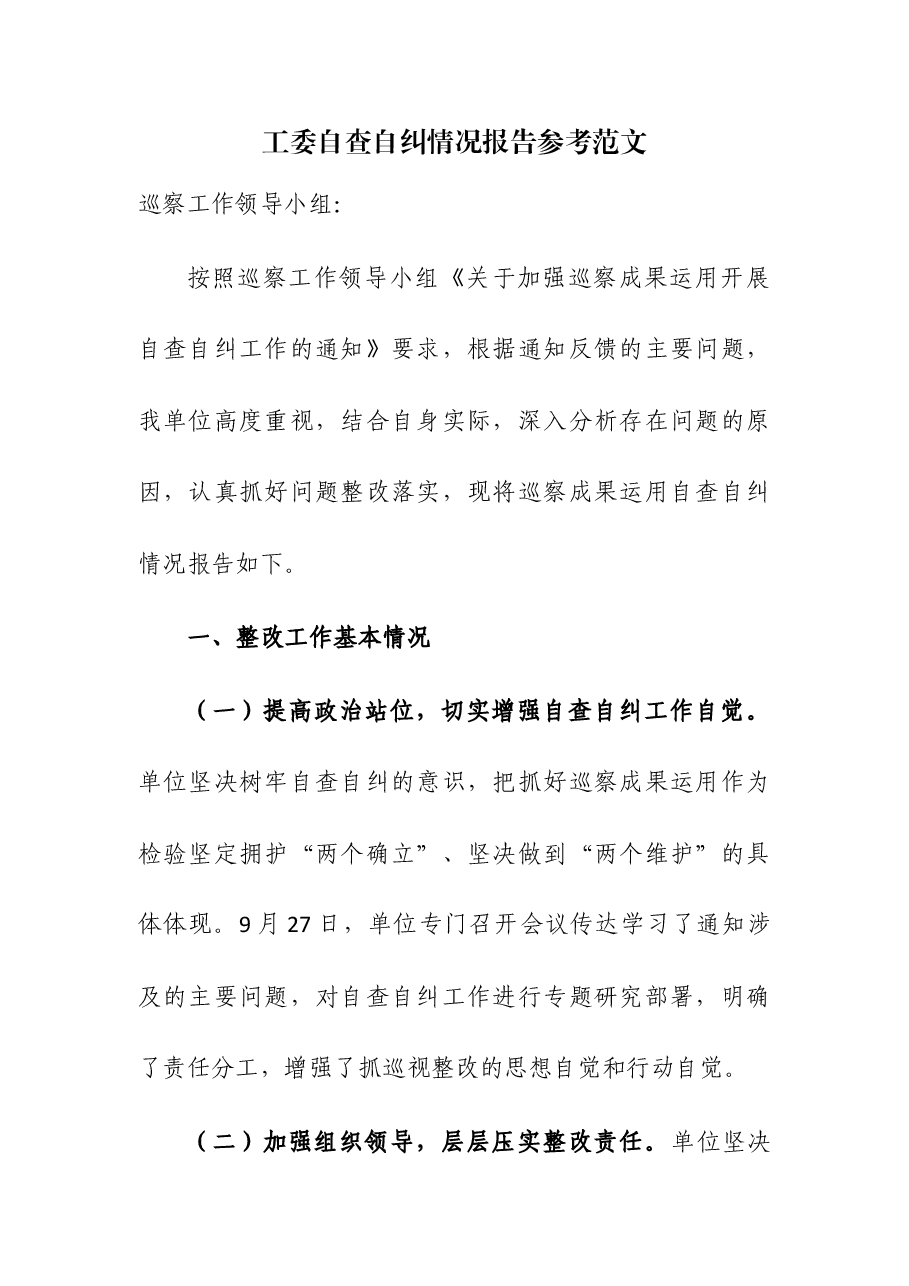 工委自查自纠情况报告.docx,第1页预览