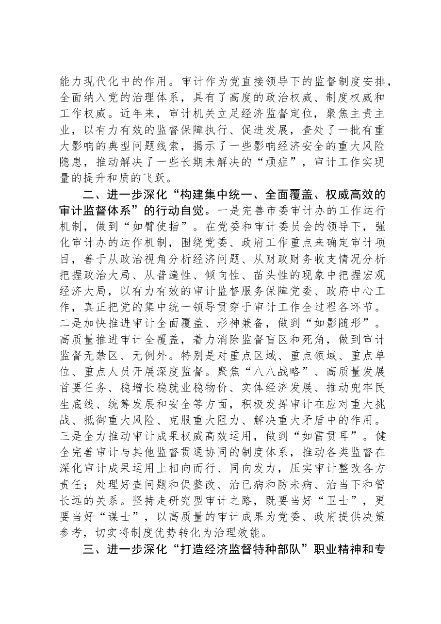 审计局在市委主题教育调研督导座谈会上的汇报发言.docx,第2页预览