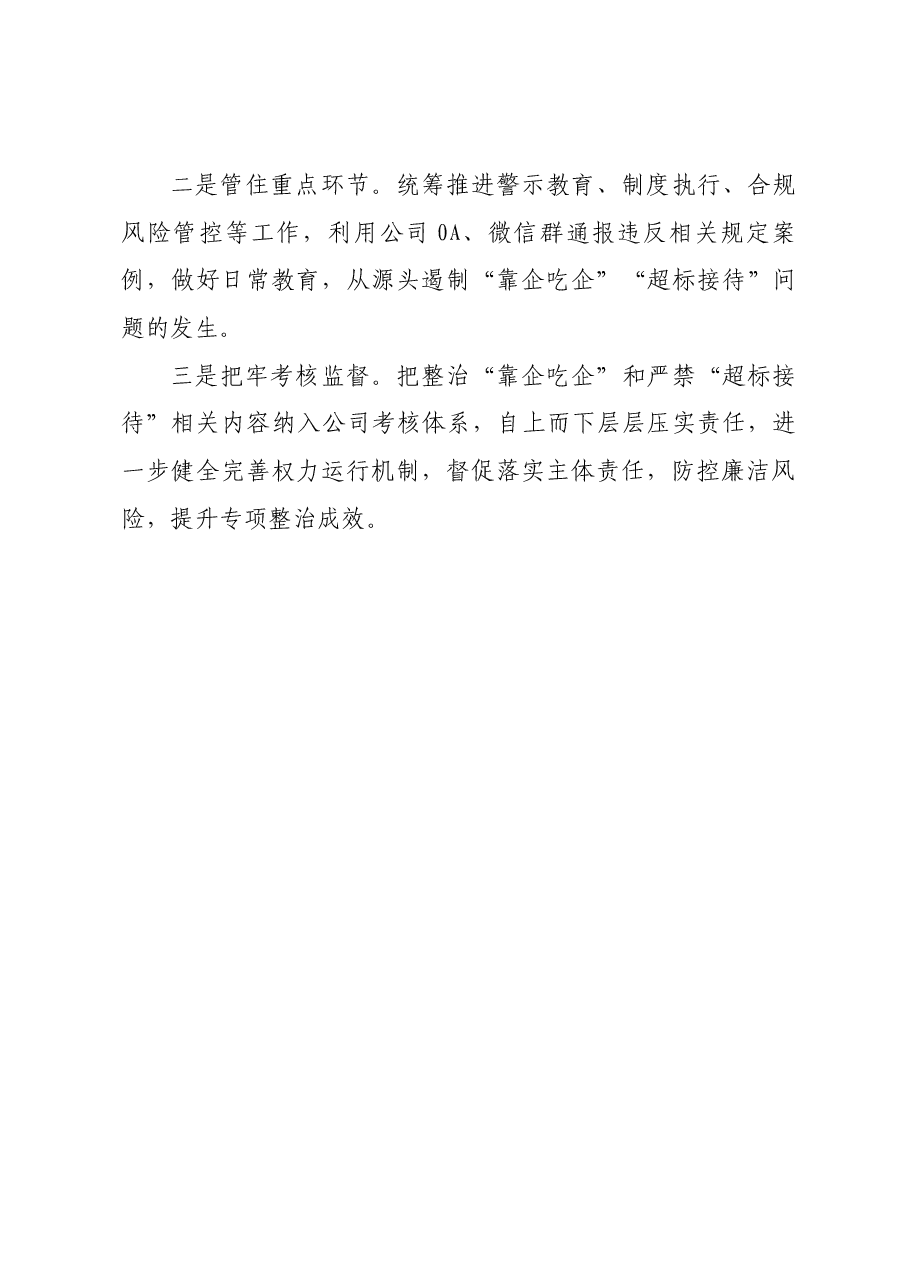 专项工作总结报告.docx,第3页预览
