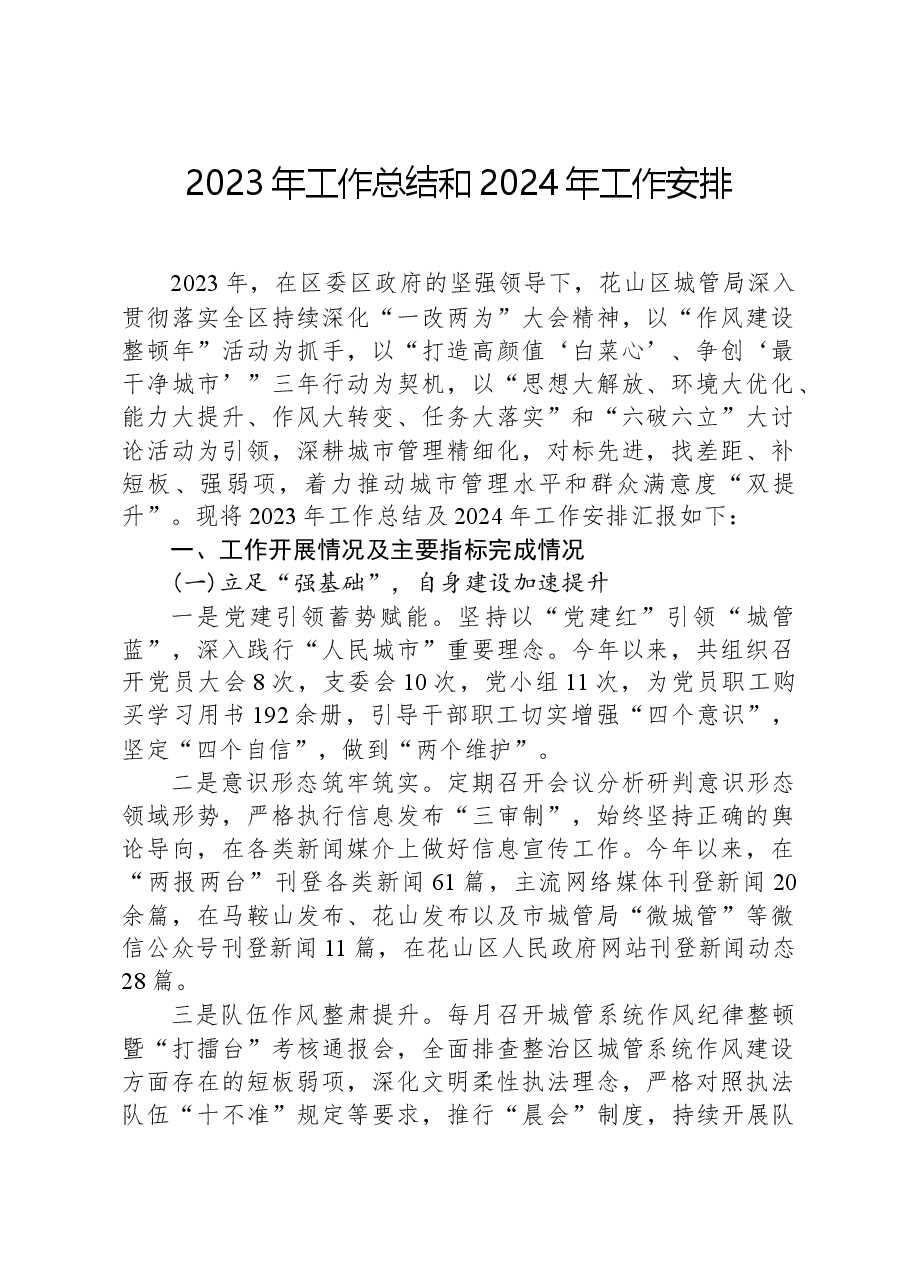 2023年工作总结和2024年工作安排01.docx,第1页预览