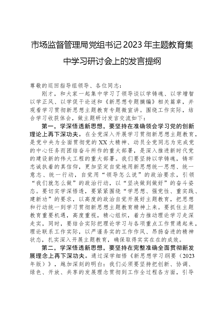 市场监督管理局党组书记2023年主题教育集中学习研讨会上的发言提纲.docx，第1页预览