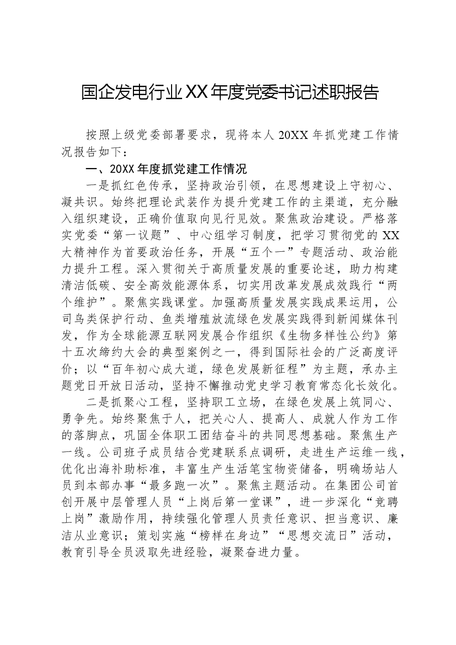 国企发电行业XX年度党委书记述职报告.docx，第1页预览