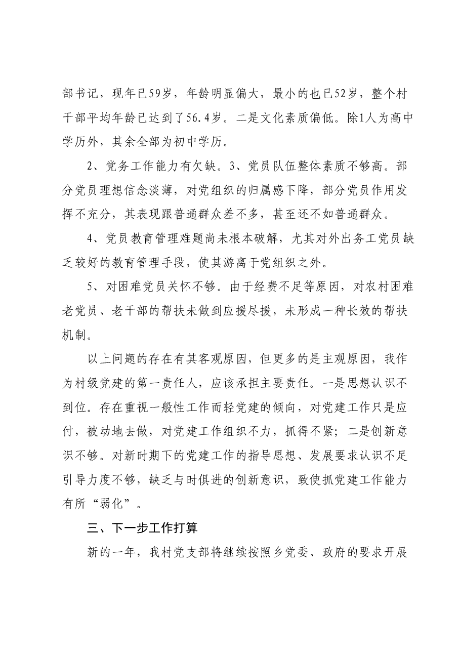 党支部书记抓党建述职报告01.docx,第3页预览