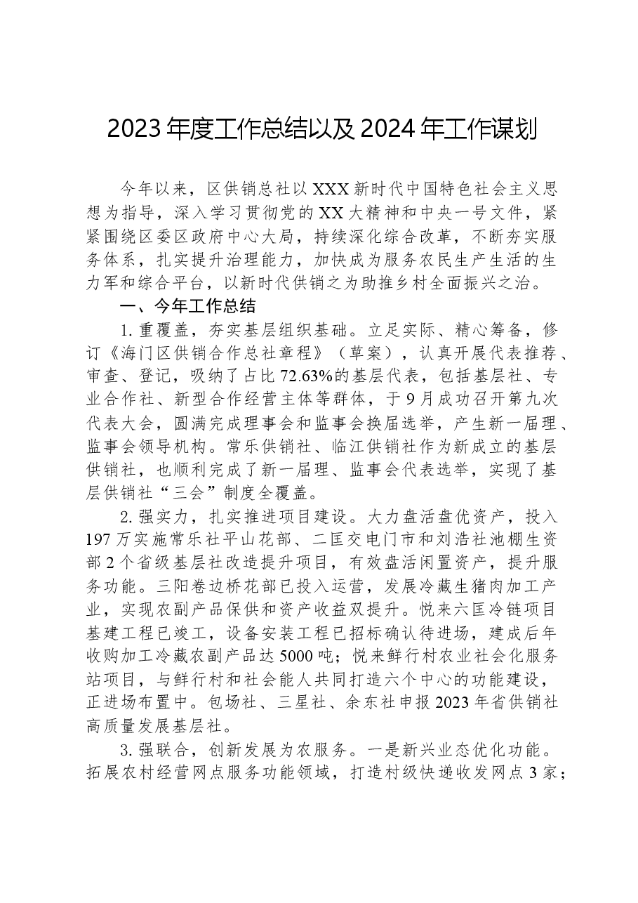 2023年度工作总结以及2024年工作谋划.docx,第1页预览