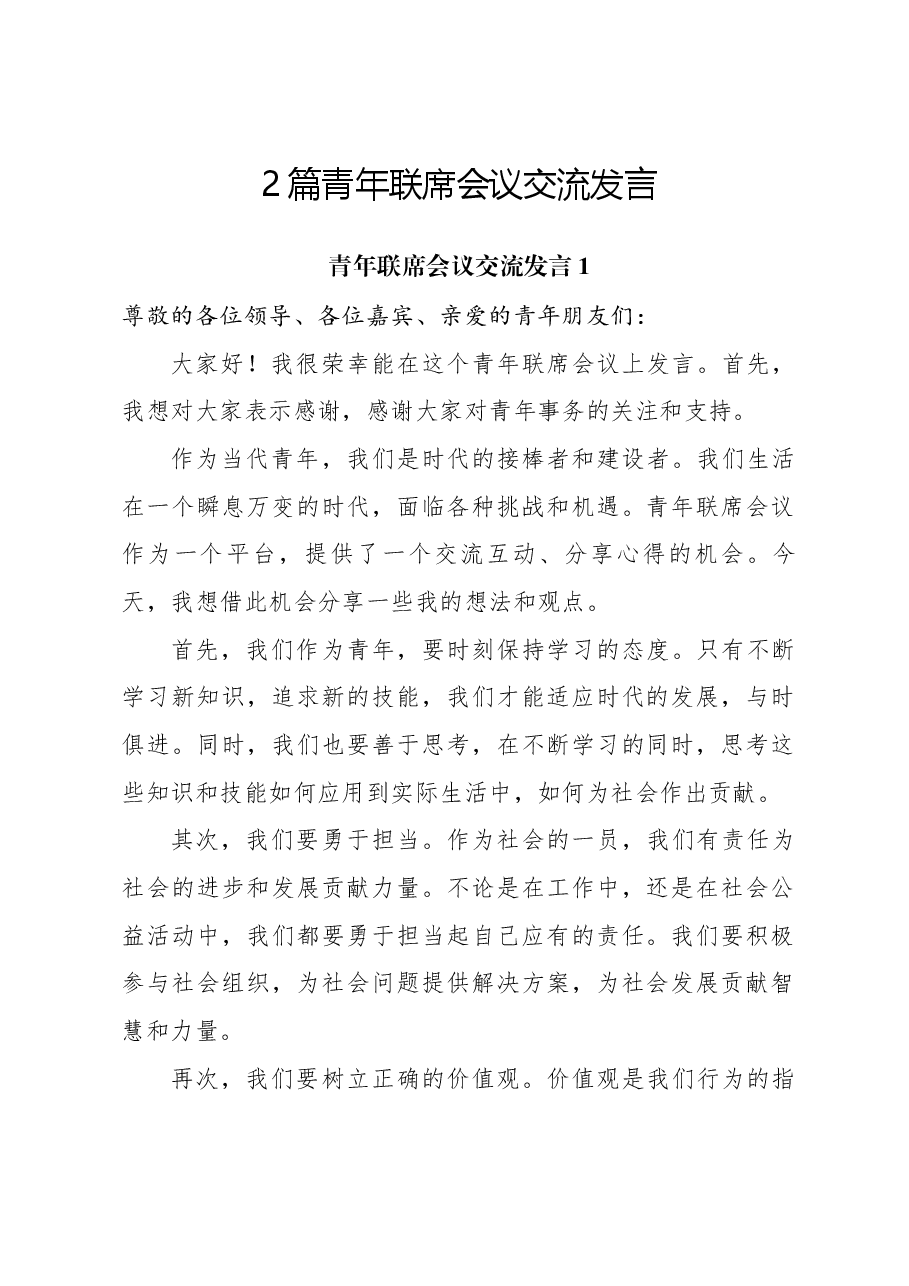 (2篇)青年联席会议交流发言.docx,第1页预览