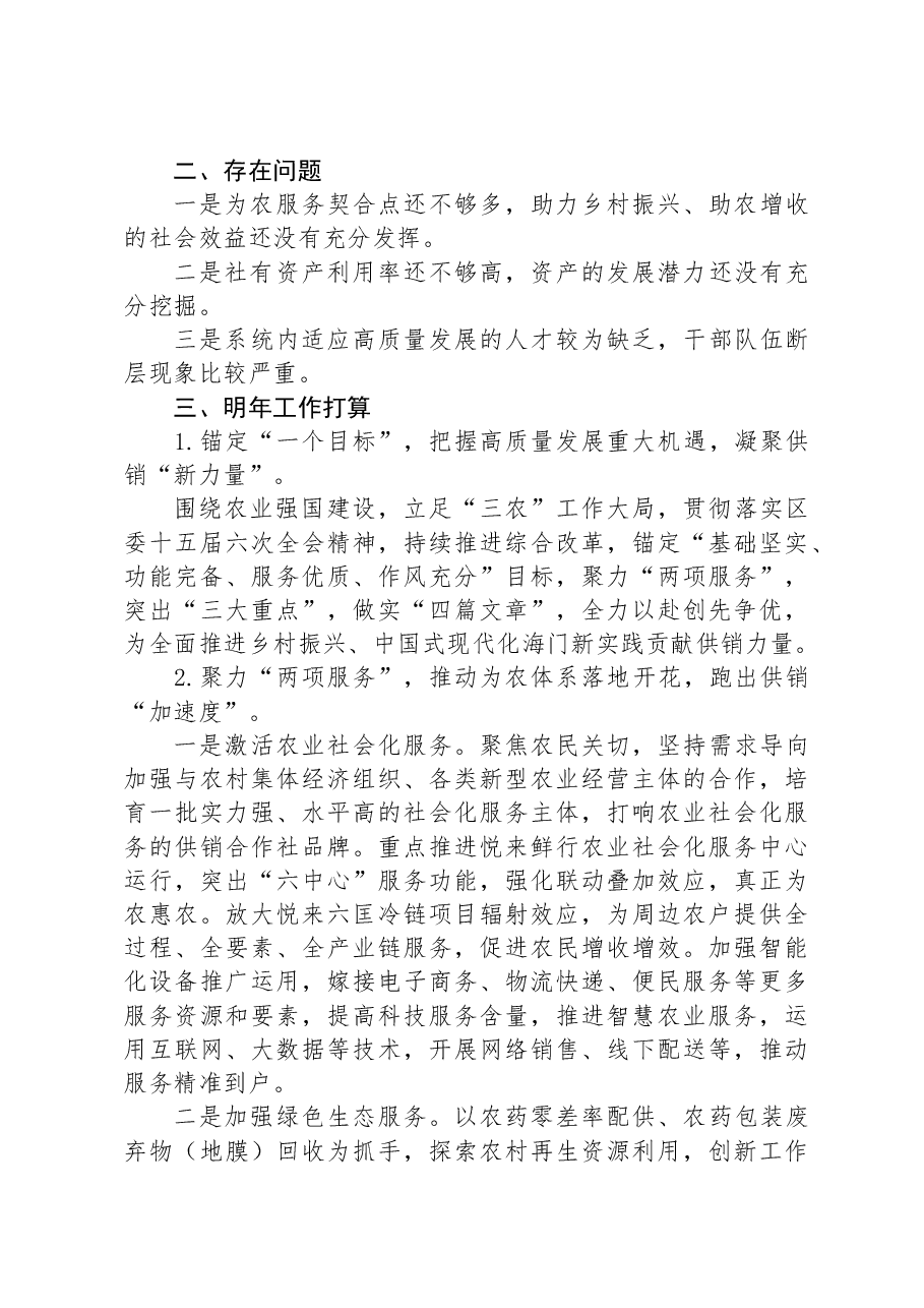 2023年度工作总结以及2024年工作谋划.docx,第3页预览