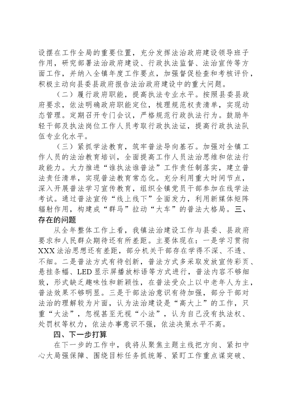 镇委副书记、镇长2023年度述法报告.docx,第2页预览
