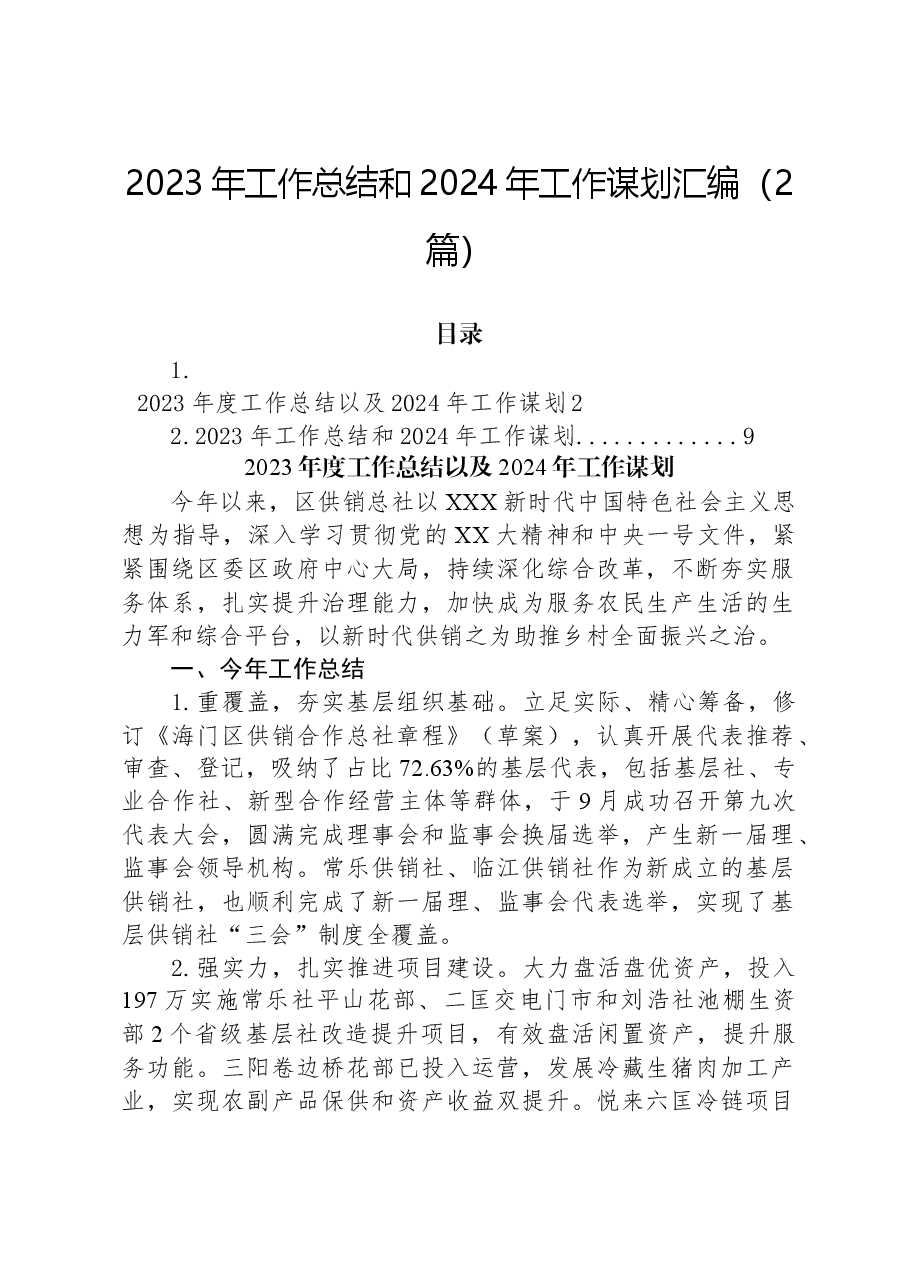 （2篇）2023年工作总结和2024年工作谋划汇编.docx，第1页预览