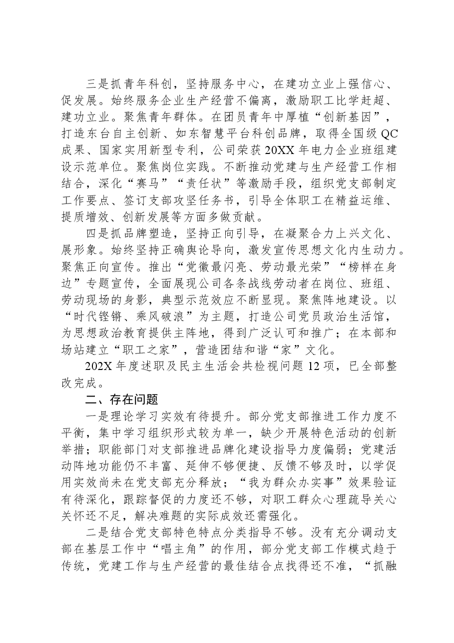 国企发电行业XX年度党委书记述职报告.docx，第2页预览