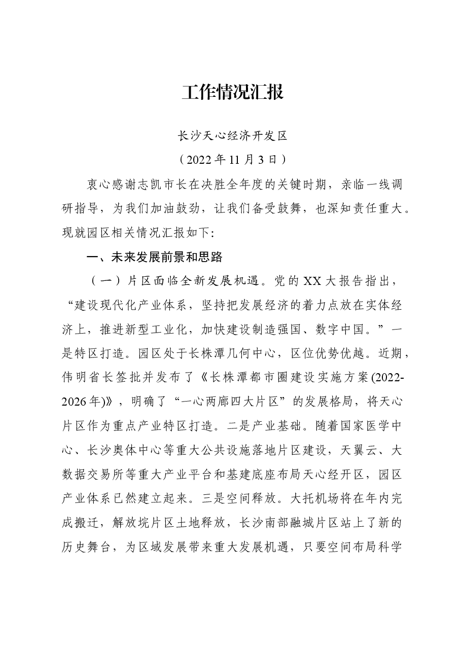 市长调研总体汇报材料.docx,第1页预览