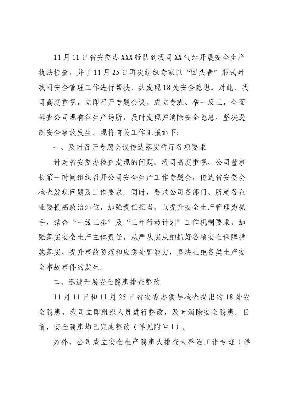 隐患排查整治工作汇报.doc,第2页预览