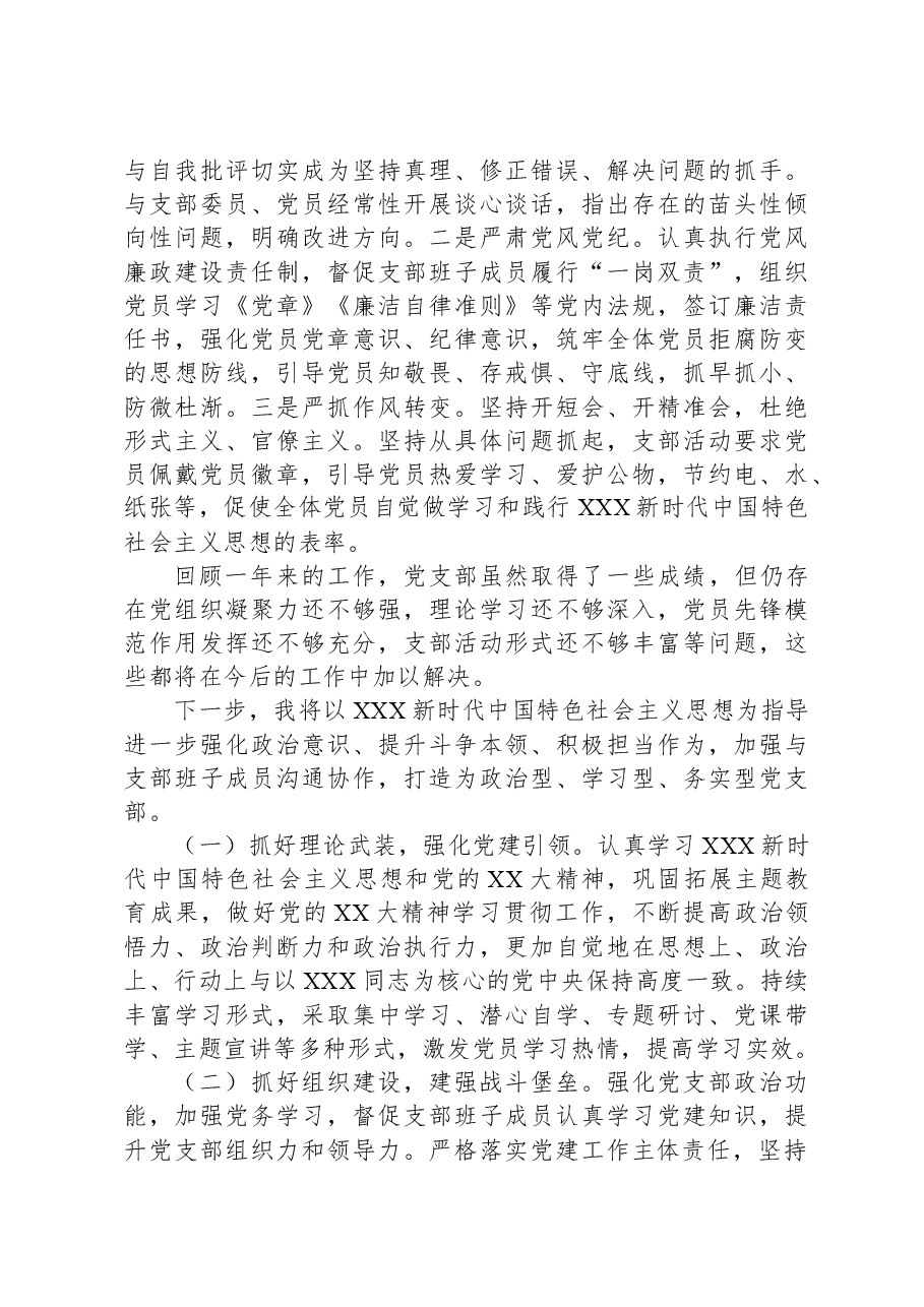 2023年党支部书记抓党建工作述职报告.docx,第3页预览