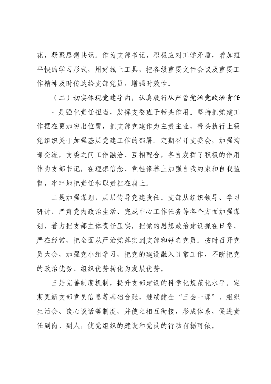 支部书记党建述职.docx,第2页预览