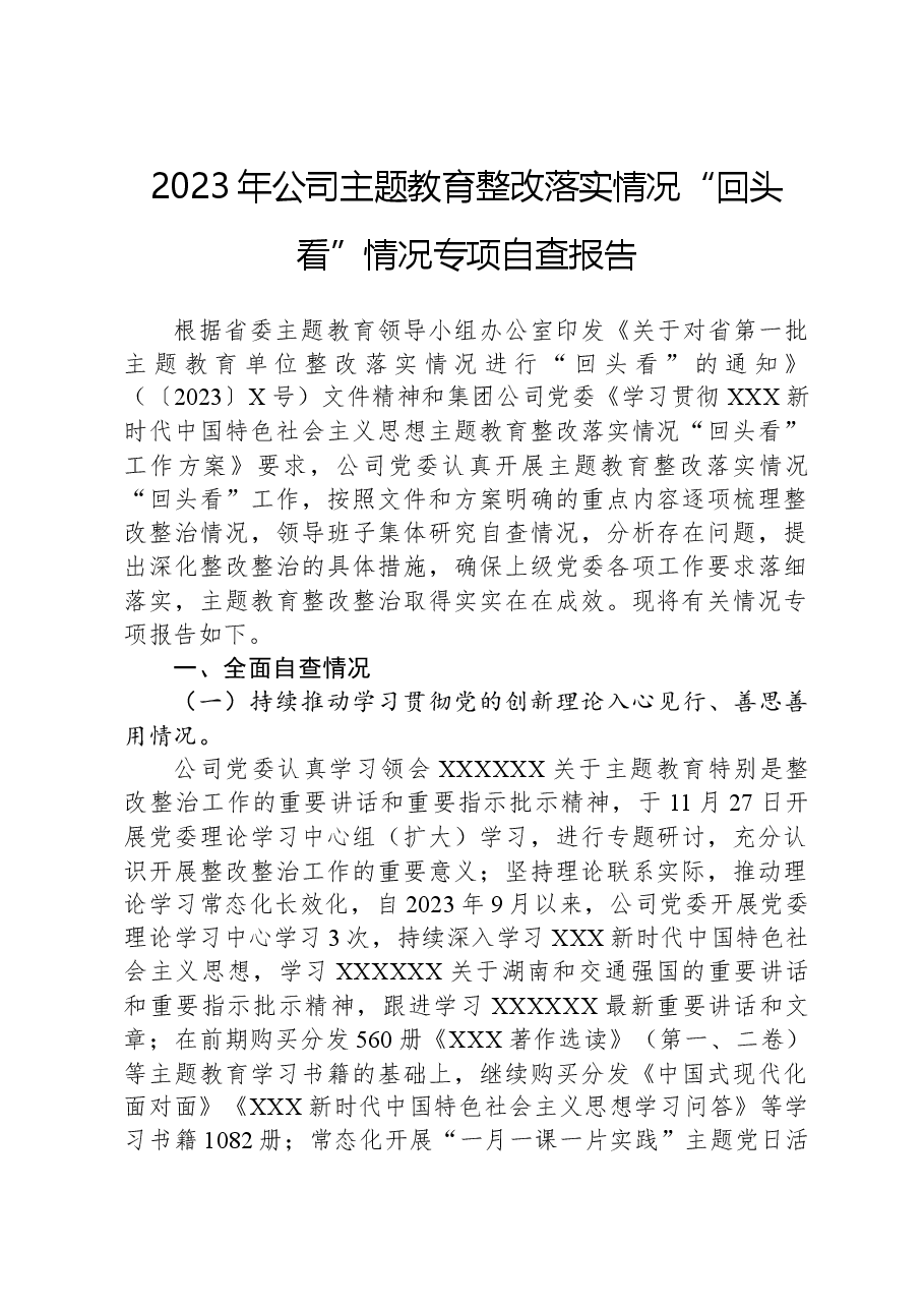 2023年公司主题教育整改落实情况“回头看”情况专项自查报告.docx，第1页预览
