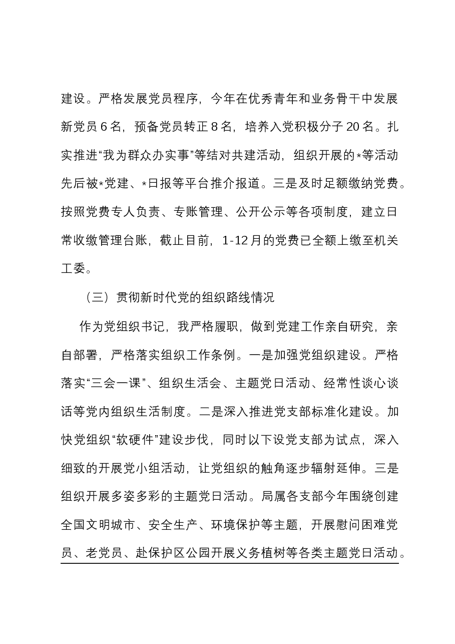 2023年党组织书记抓党建工作述职报告.docx,第3页预览