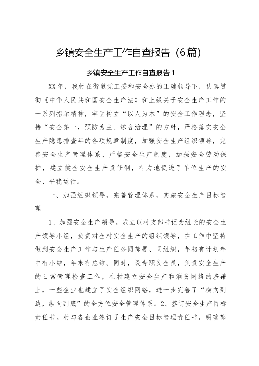 (6篇)乡镇安全生产工作自查报告.docx,第1页预览