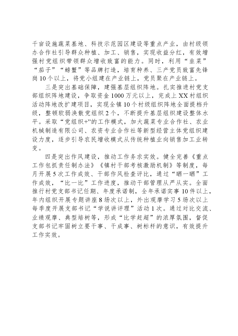 乡党委书记基层党建工作述职报告.docx，第4页预览