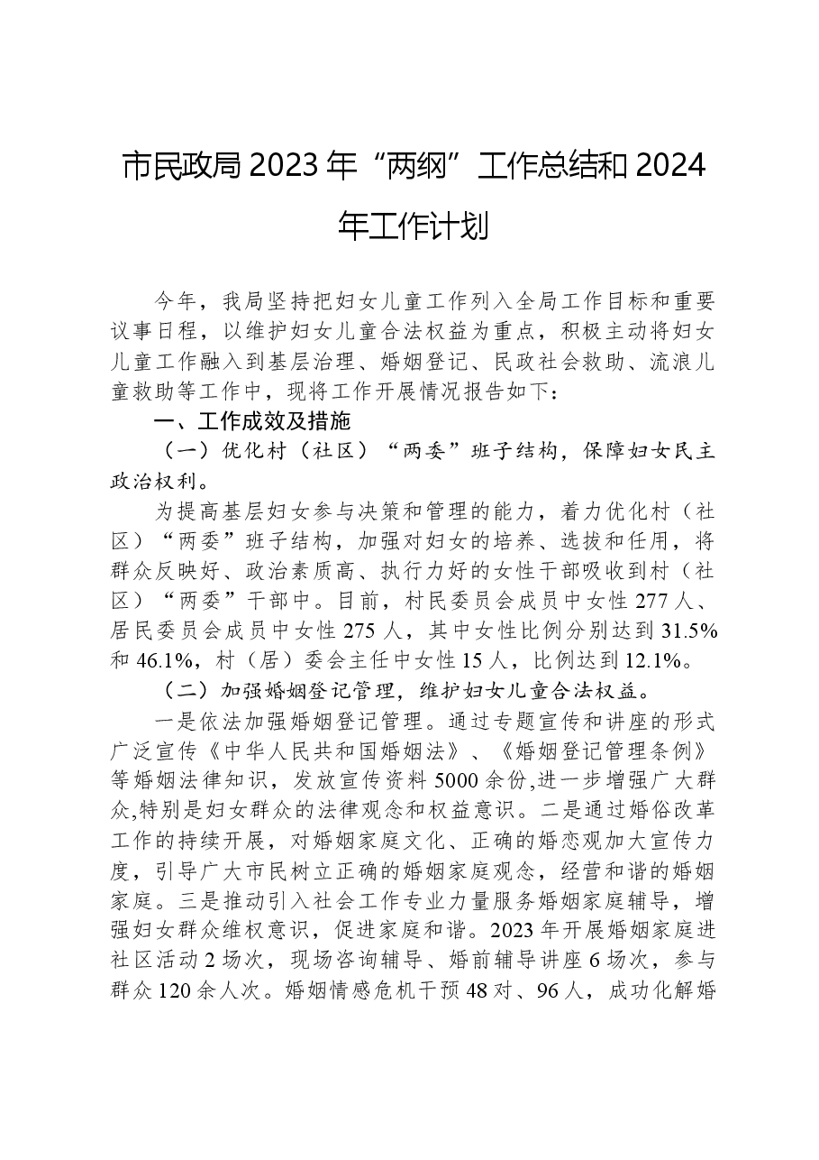 市民政局2023年“两纲”工作总结和2024年工作计划.docx,第1页预览