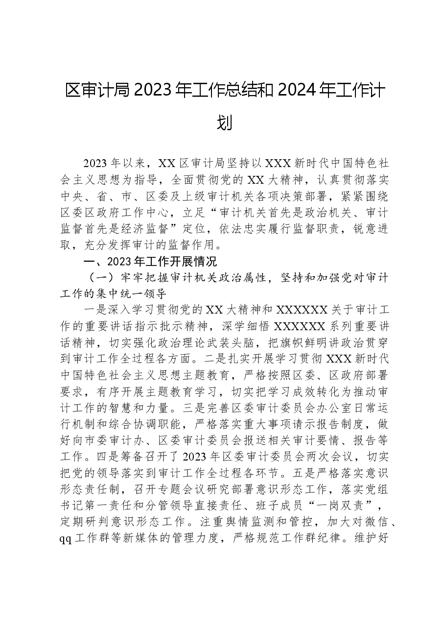 区审计局2023年工作总结和2024年工作计划.docx,第1页预览