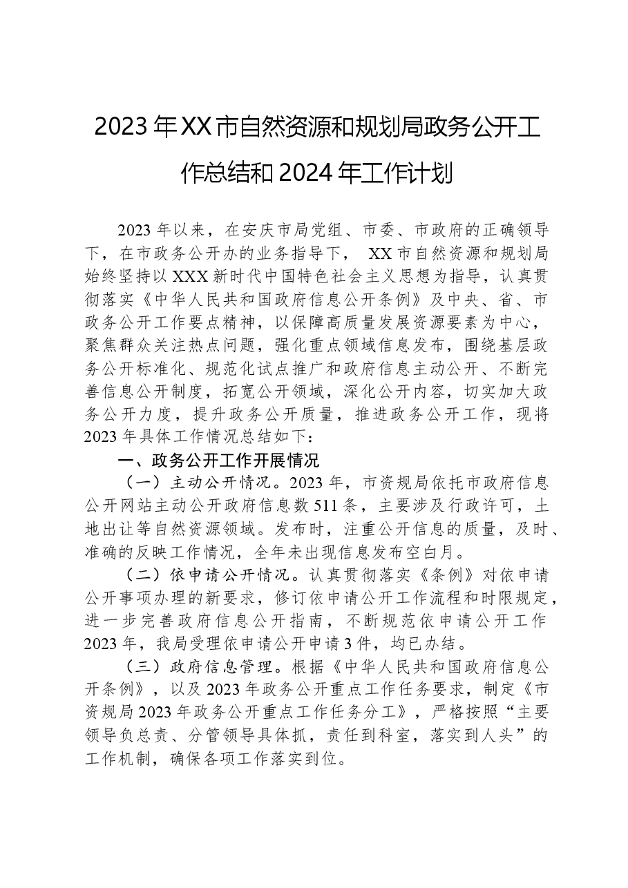 2023年XX市自然资源和规划局政务公开工作总结和2024年工作计划.docx,第1页预览