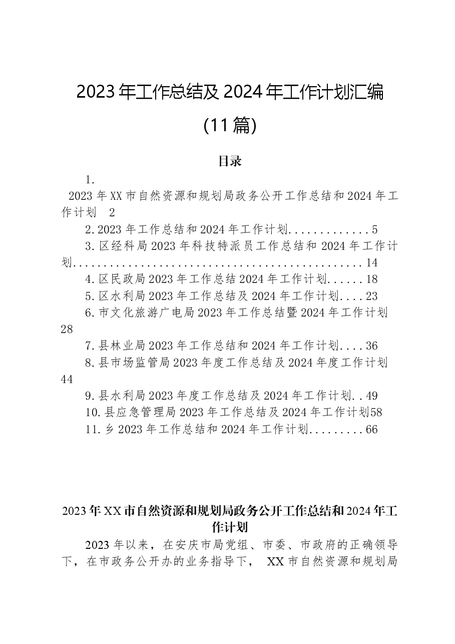 （11篇）2023年工作总结及2024年工作计划汇编.docx，第1页预览