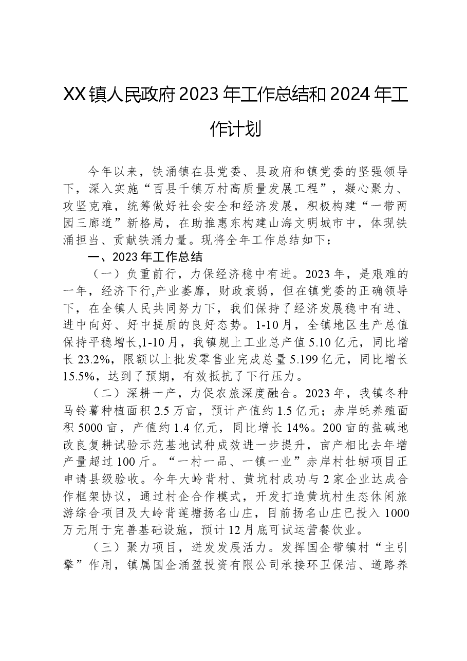 XX镇人民政府2023年工作总结和2024年工作计划.docx，第1页预览