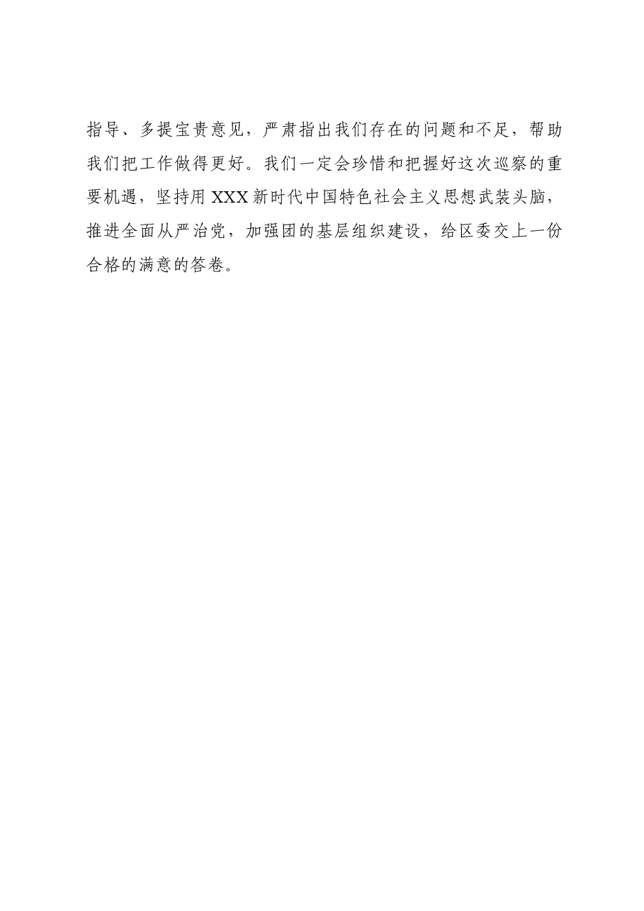 团区委巡察表态发言.doc,第3页预览