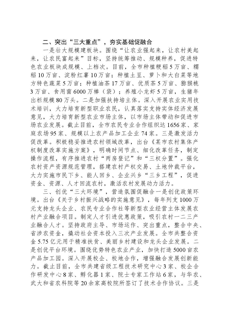某市乡村振兴工作汇报:放大“融合+”效应助推乡村振兴发展.docx,第2页预览