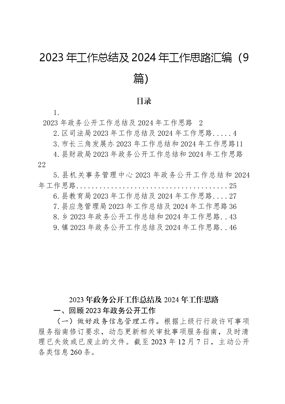 (9篇)2023年工作总结及2024年工作思路汇编.docx,第1页预览