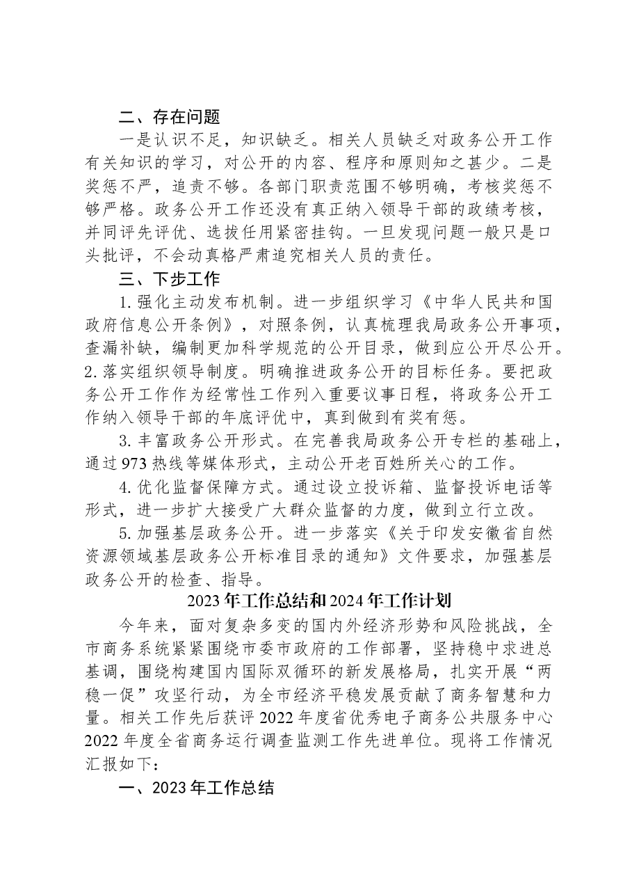 （11篇）2023年工作总结及2024年工作计划汇编.docx，第3页预览