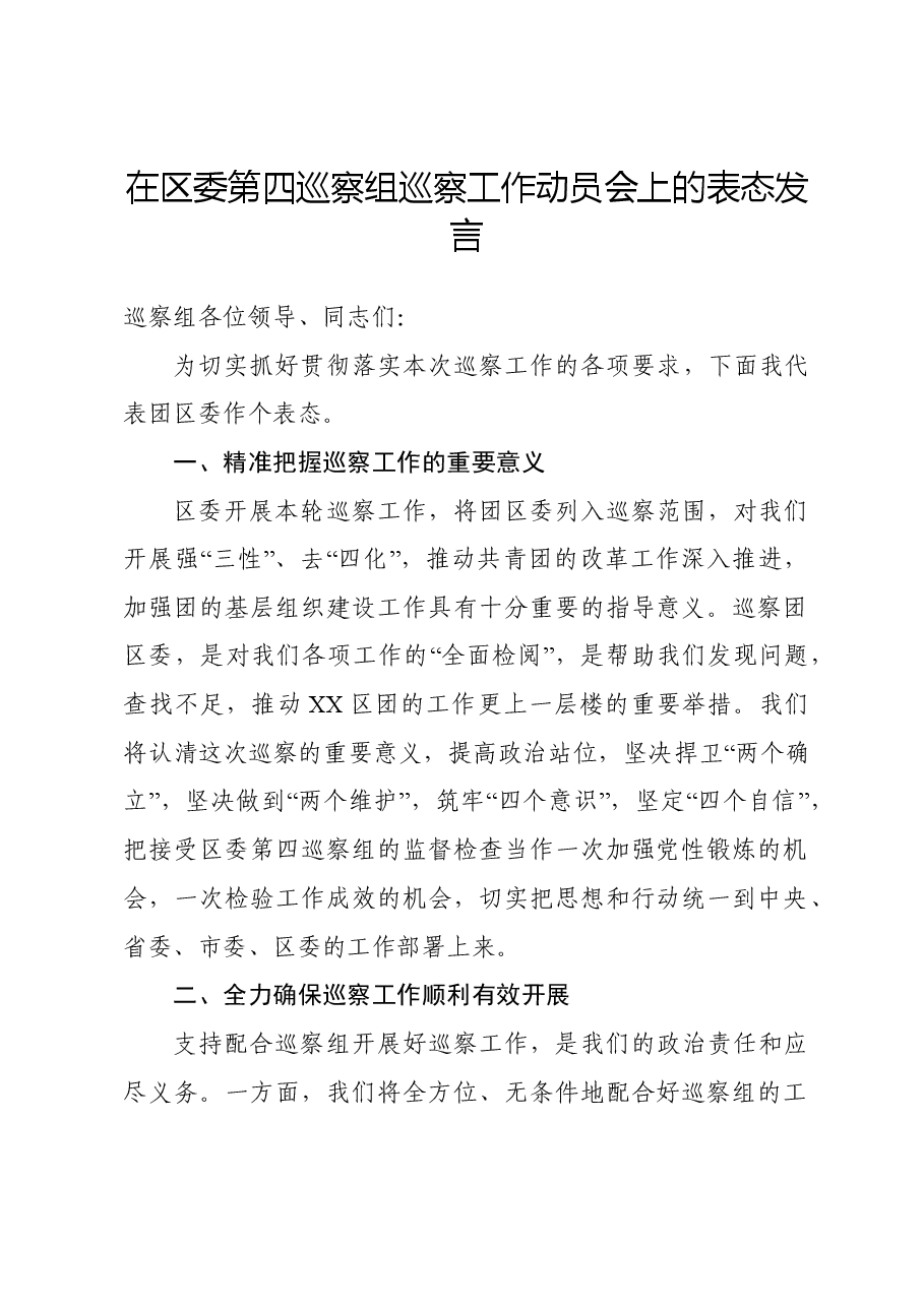 团区委巡察表态发言.doc,第1页预览