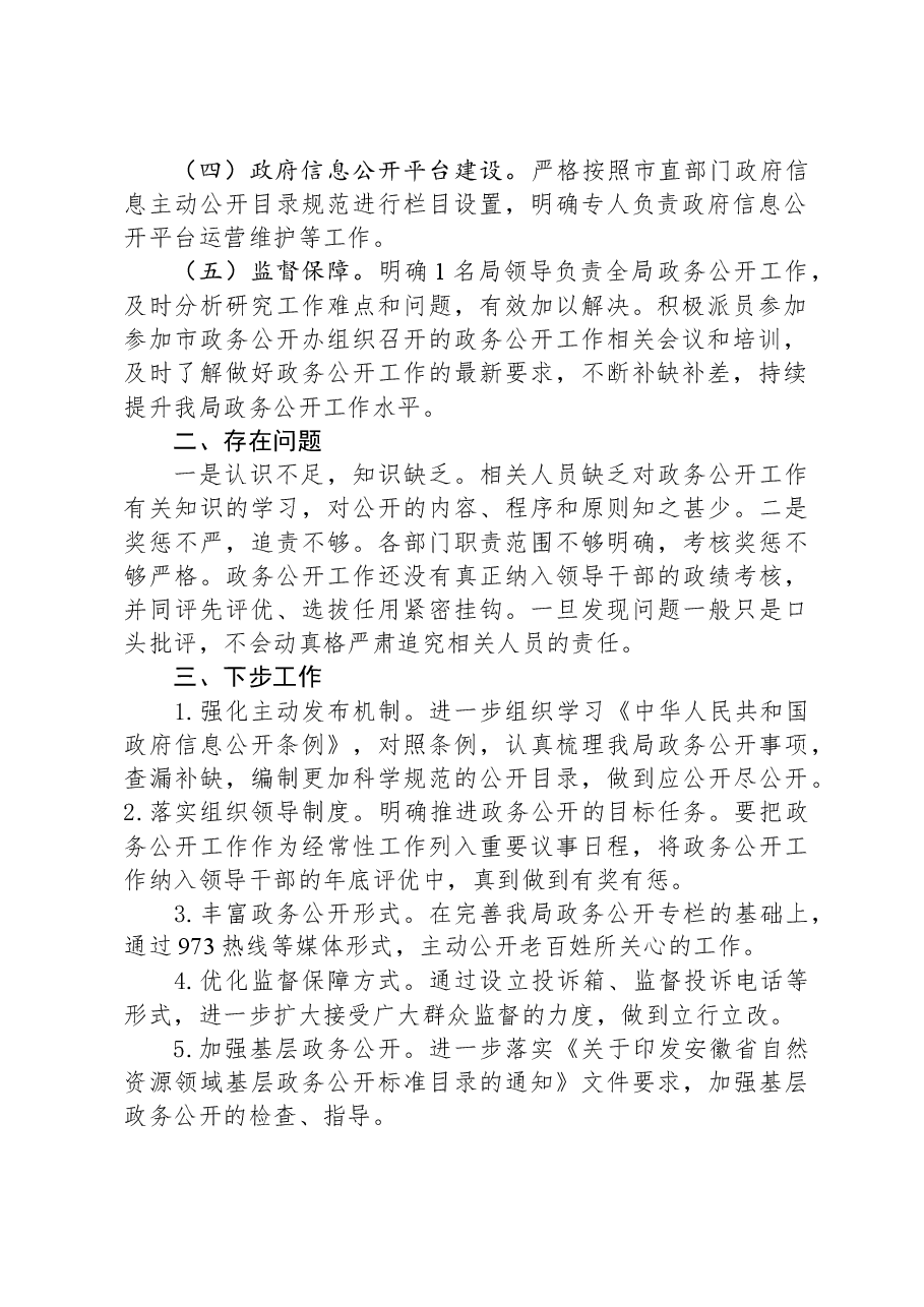 2023年XX市自然资源和规划局政务公开工作总结和2024年工作计划.docx,第2页预览