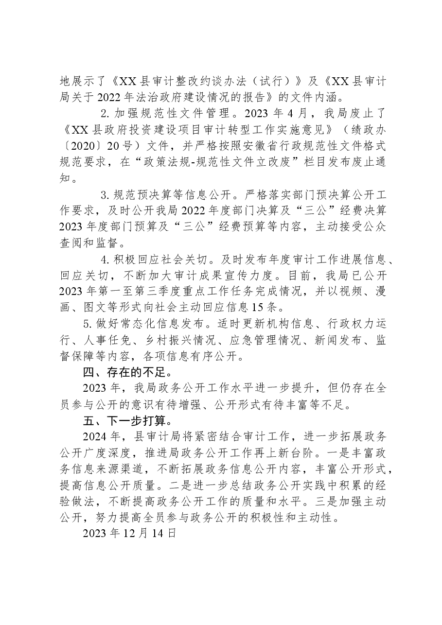 县审计局2023年度政务公开工作总结.docx,第2页预览