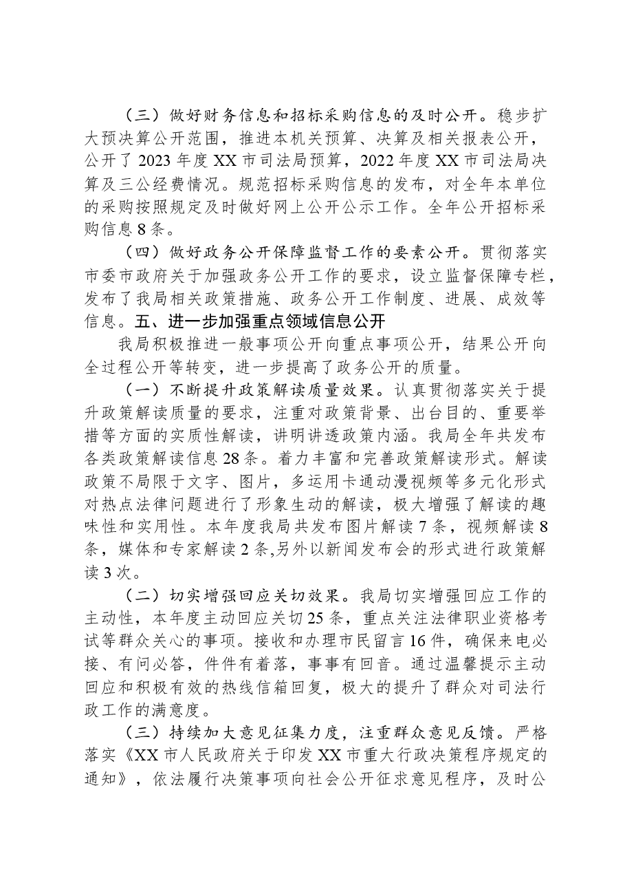 市司法局2023年度政务公开工作总结.docx,第3页预览