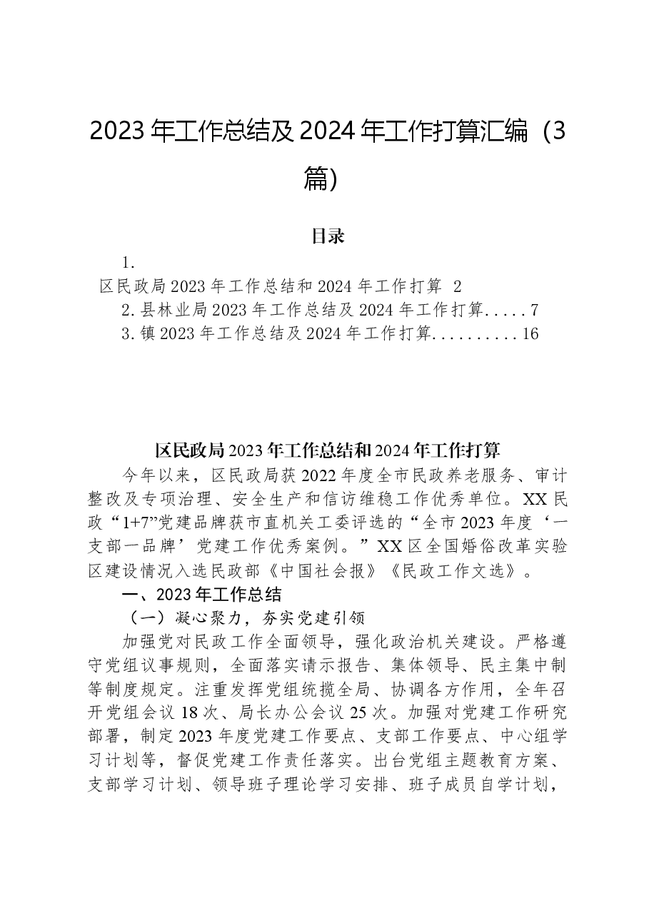 (3篇)2023年工作总结及2024年工作打算汇编.docx,第1页预览