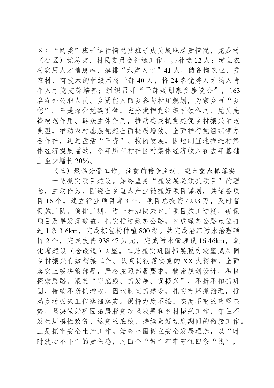 乡镇党员干部2023年度个人述职报告.docx,第2页预览