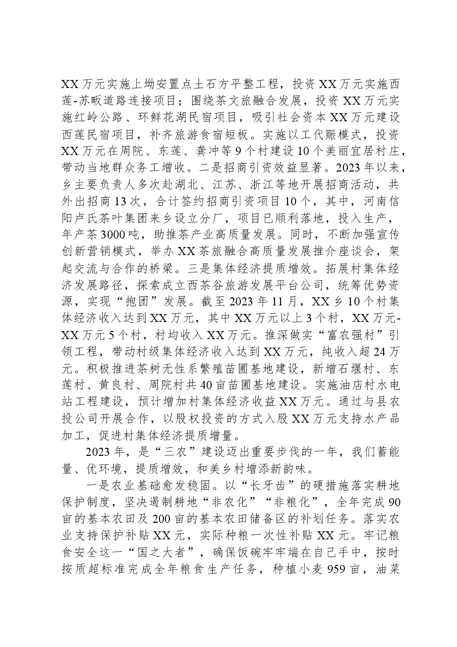 XX县XX乡2023年工作总结暨2024年重点工作安排.docx,第3页预览