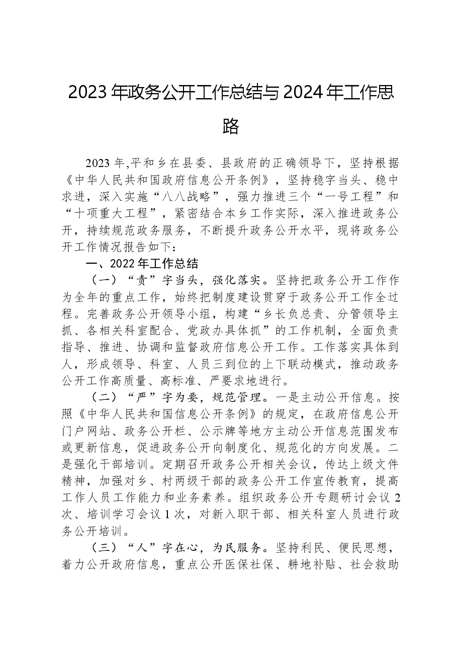 2023年政务公开工作总结与2024年工作思路.docx,第1页预览