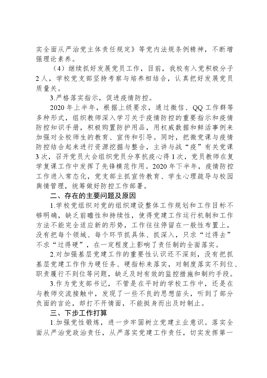 学校党支部书记履行抓党建工作第一责任人的职责述职报告.docx,第2页预览