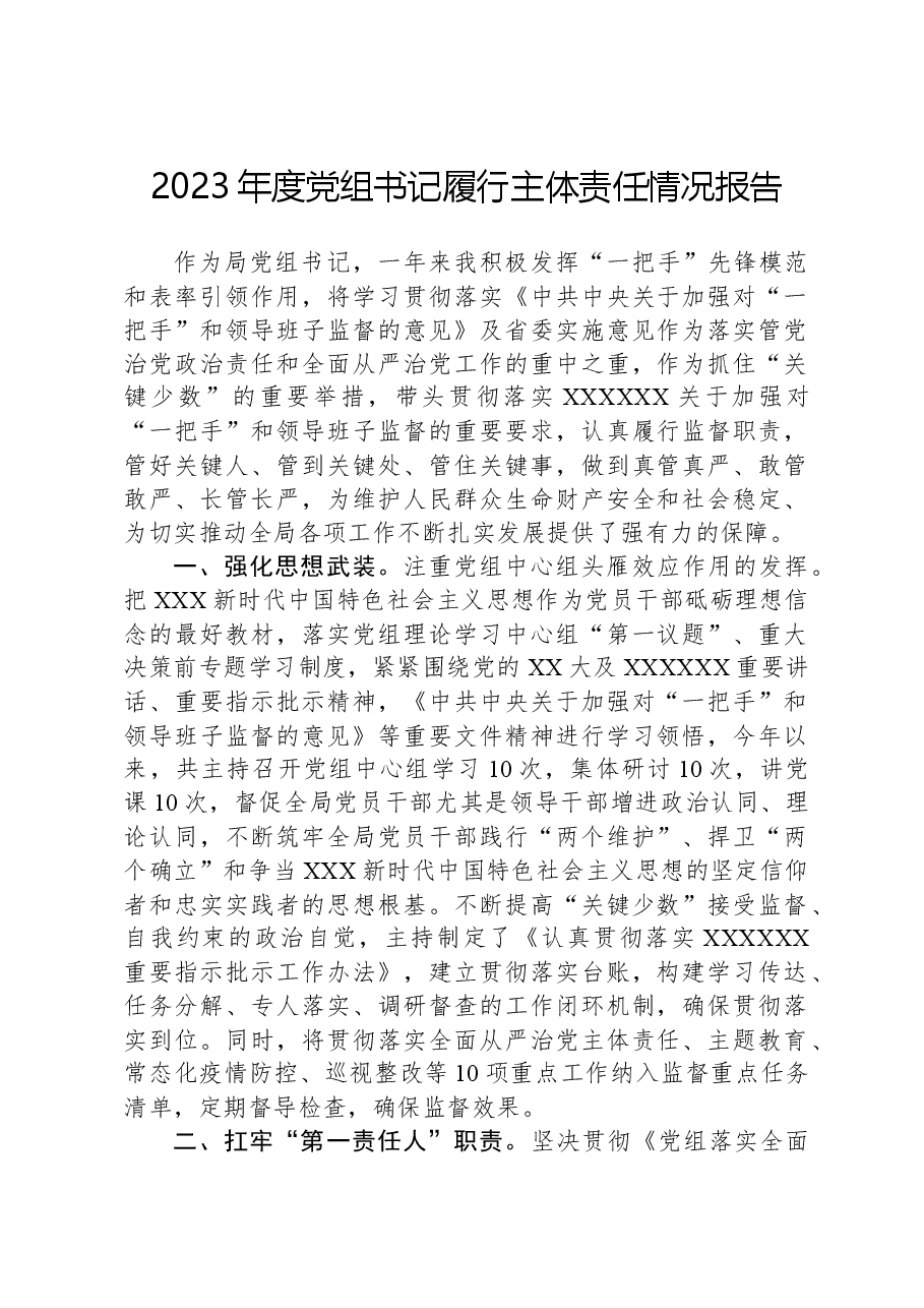 2023年度党组书记履行主体责任情况报告.docx,第1页预览
