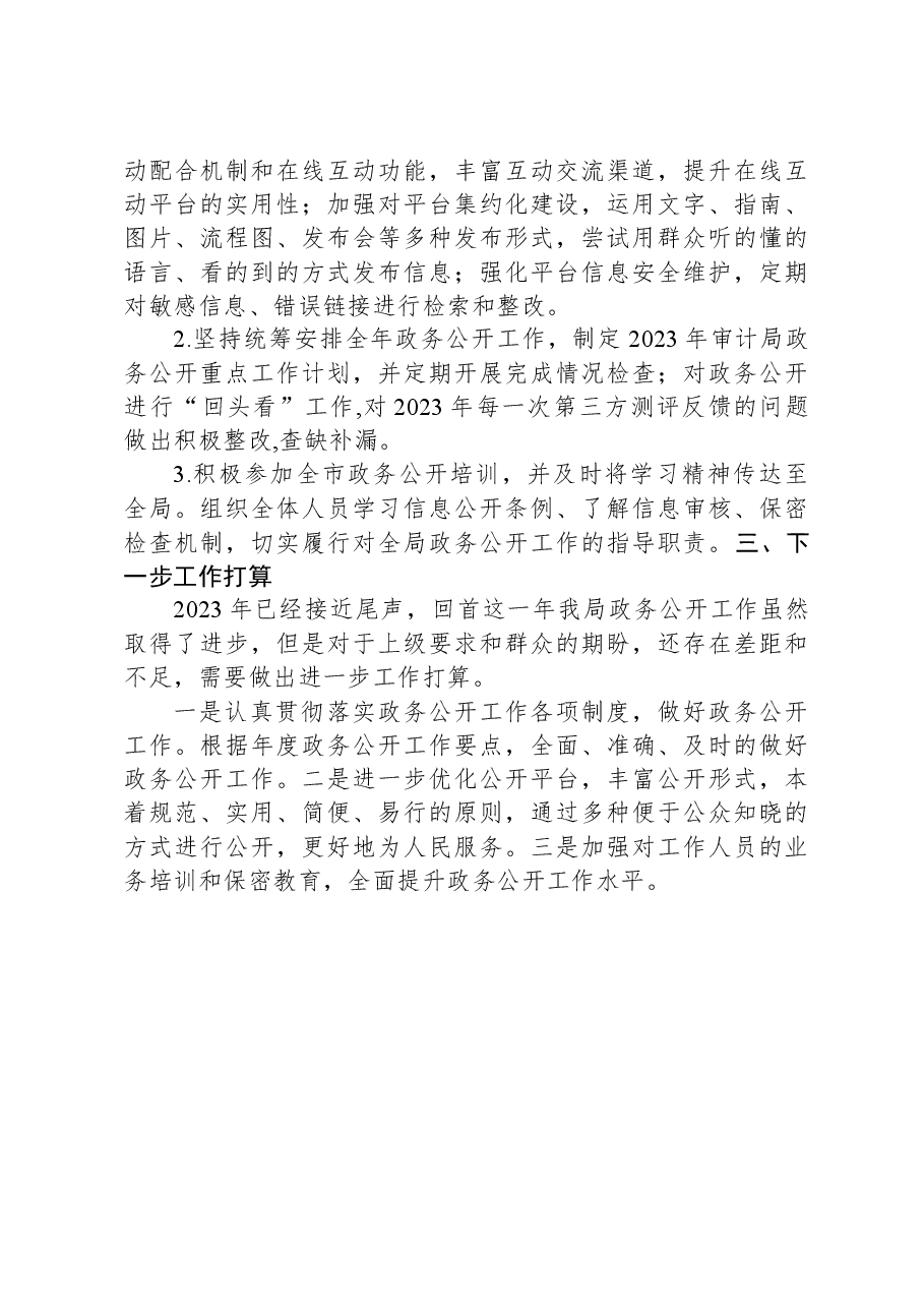 2023年市审计局政务公开工作总结.docx,第3页预览