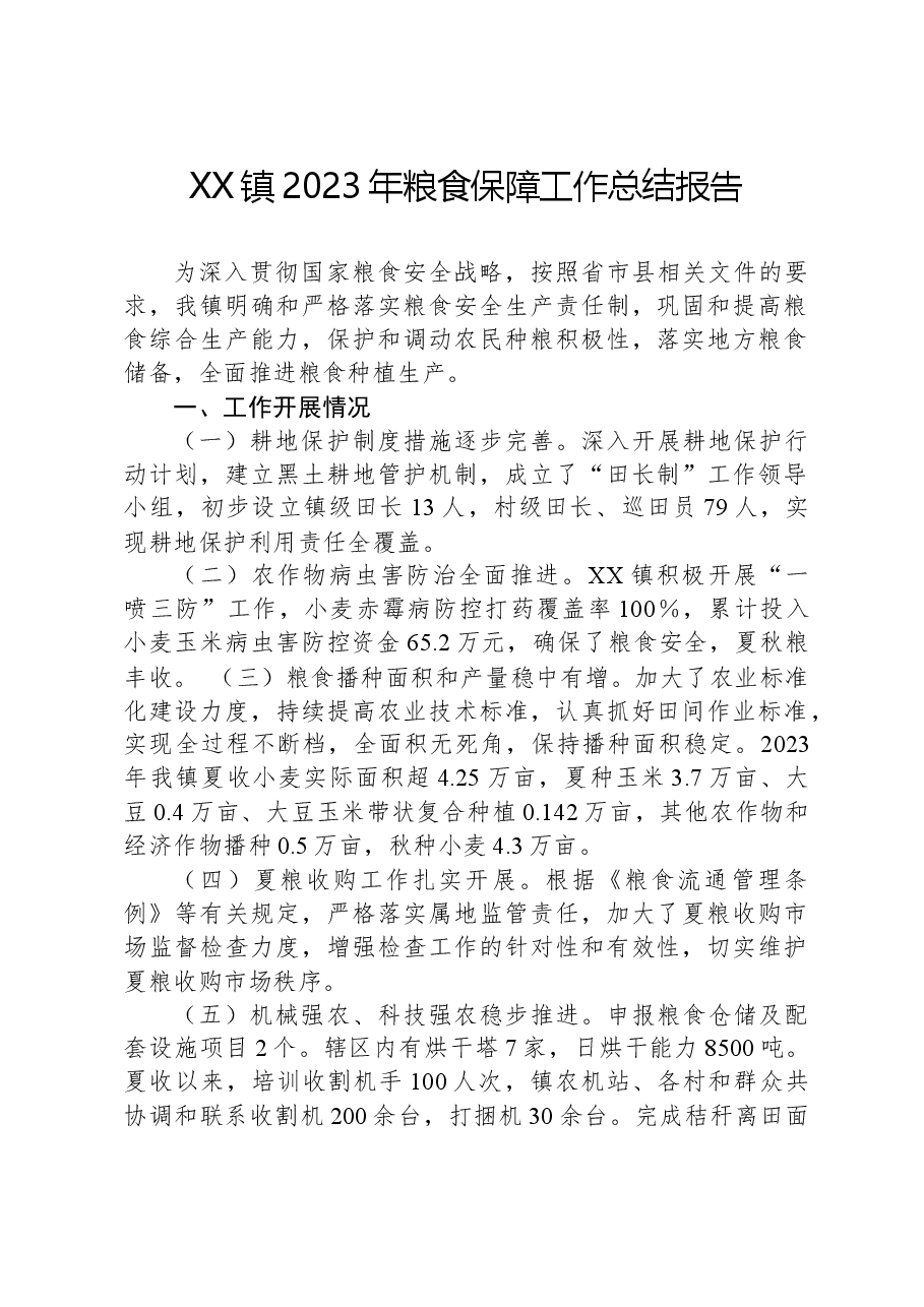 XX镇2023年粮食保障工作总结报告.docx,第1页预览