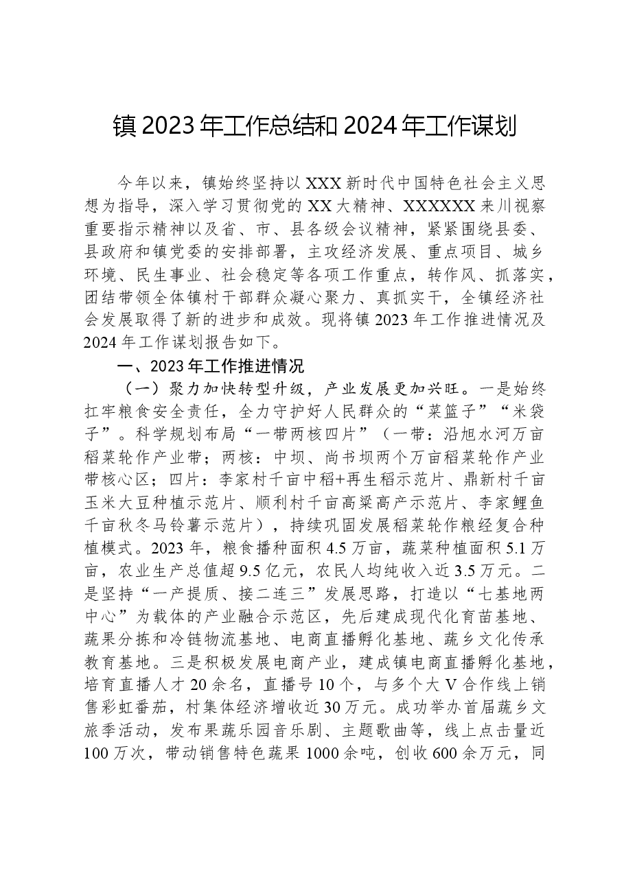 镇2023年工作总结和2024年工作谋划01.docx,第1页预览